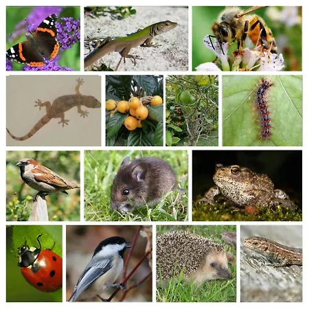 Villa Casa Brisa Suave Aljezur